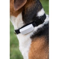 GPS SEKOTĀJS SUŅIEM