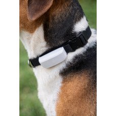 GPS трекер для собак 