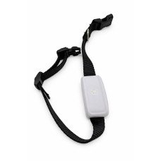 GPS трекер для собак 