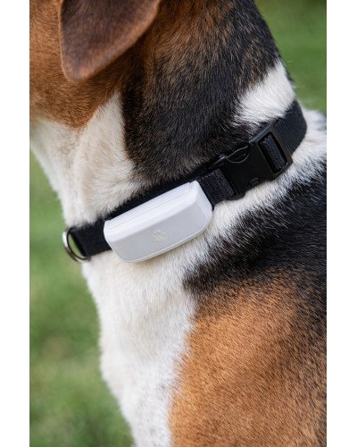 GPS SEKOTĀJS SUŅIEM GPS SEKOTĀJS SUŅIEM