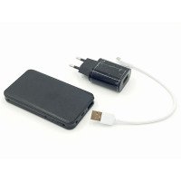 DIKTOFONS SLĒPTĀS ĀRĒJĀ AKUMULATORU (POWERBANK)
